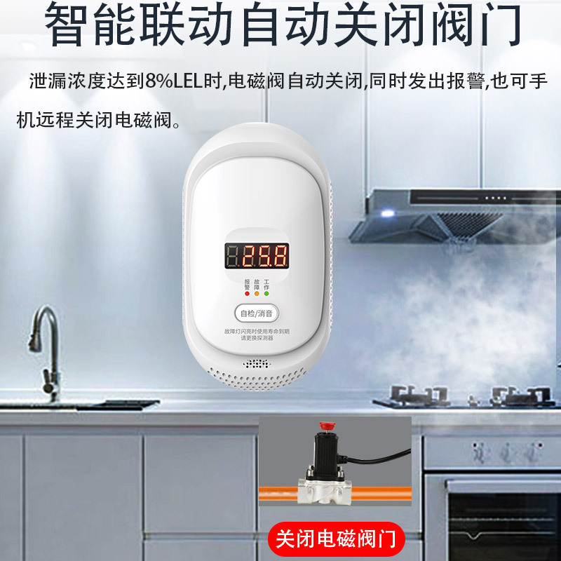 家用燃?xì)鈭?bào)警器 可燃?xì)怏w探測(cè)器QG-08B